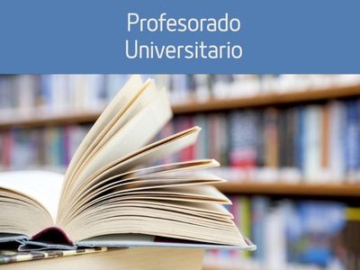Profesorado Universitario